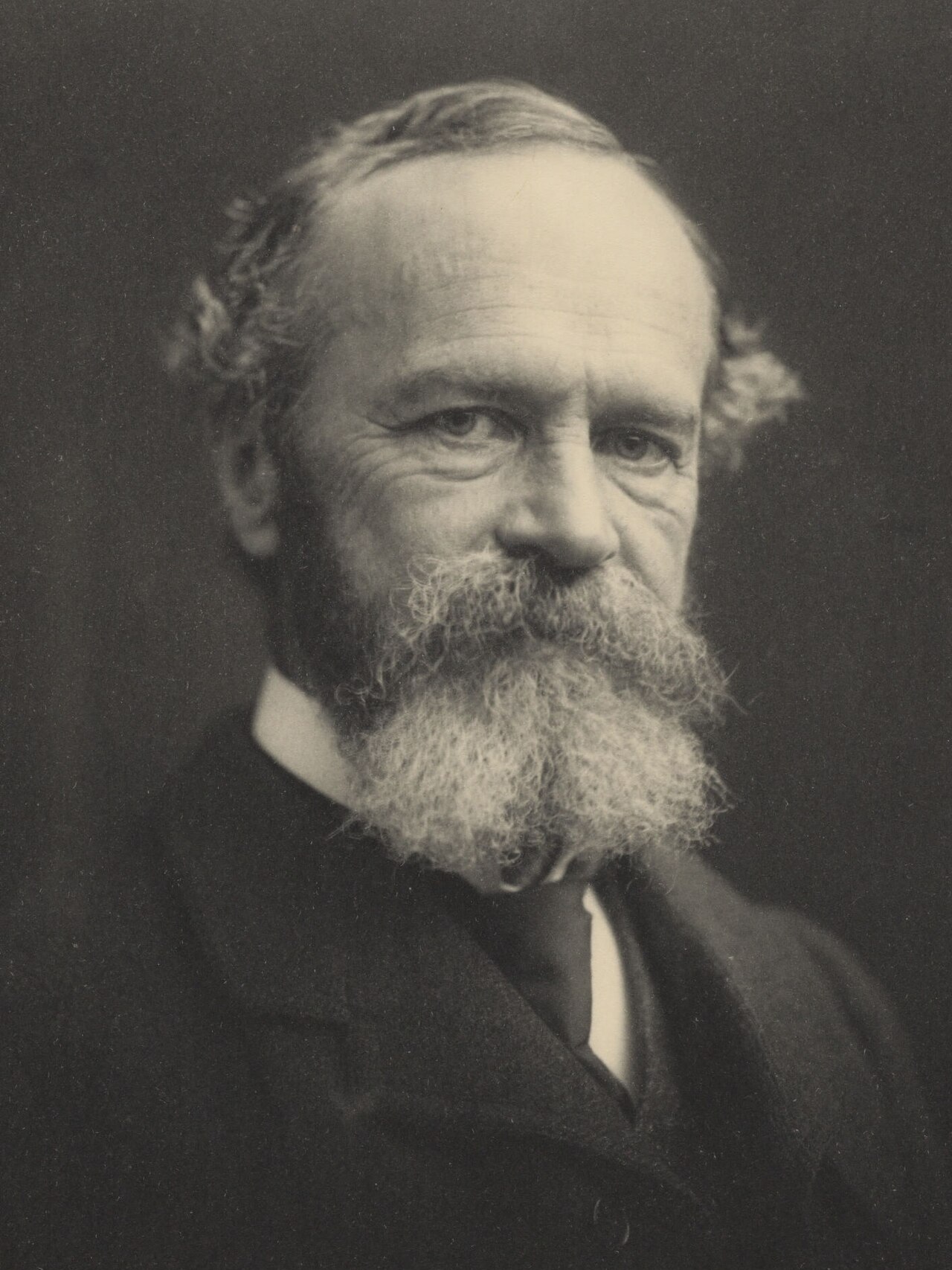 William James (1842–1910) — James gave pragmatism its most enduring formulation: evaluate any idea by its actual consequences in the world, not by its theoretical elegance. Applied to foreign policy, this means asking what the